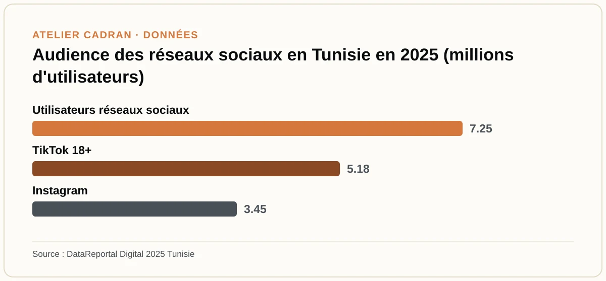 Audience des réseaux sociaux en Tunisie en 2025 (millions d'utilisateurs)