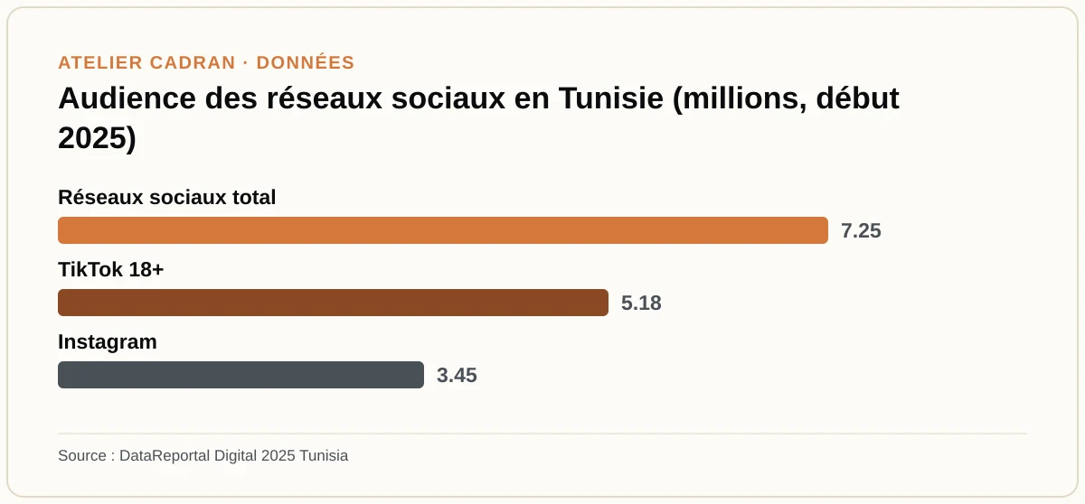 Audience des réseaux sociaux en Tunisie (millions, début 2025)