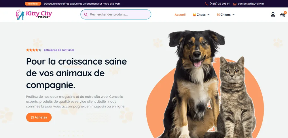 Site e-commerce Kitty City